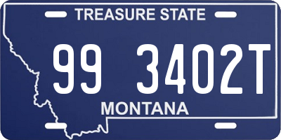 MT license plate 993402T