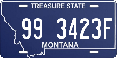 MT license plate 993423F