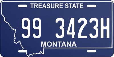 MT license plate 993423H