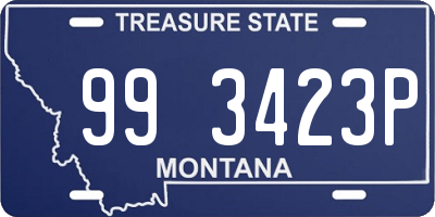 MT license plate 993423P