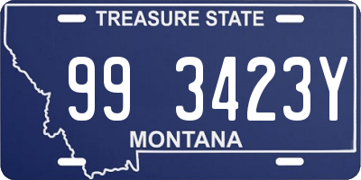 MT license plate 993423Y