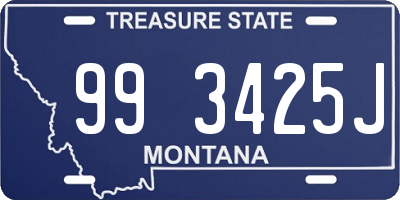 MT license plate 993425J