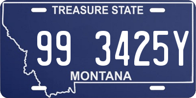 MT license plate 993425Y