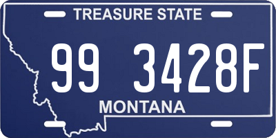 MT license plate 993428F