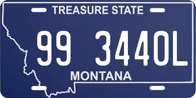 MT license plate 993440L