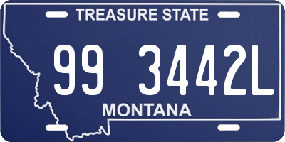 MT license plate 993442L