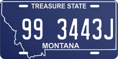 MT license plate 993443J