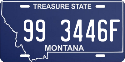 MT license plate 993446F