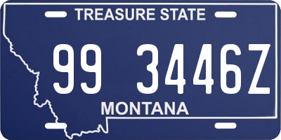 MT license plate 993446Z