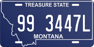 MT license plate 993447L