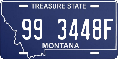 MT license plate 993448F