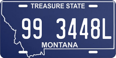 MT license plate 993448L