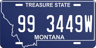 MT license plate 993449W