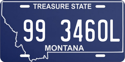 MT license plate 993460L