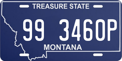 MT license plate 993460P