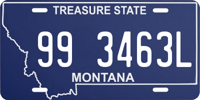 MT license plate 993463L