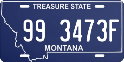 MT license plate 993473F