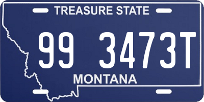 MT license plate 993473T