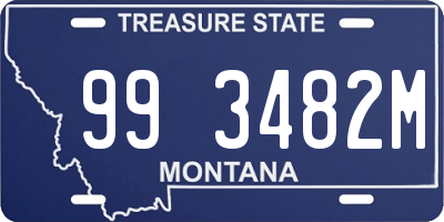 MT license plate 993482M