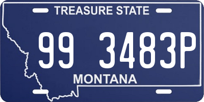 MT license plate 993483P