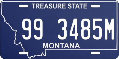 MT license plate 993485M