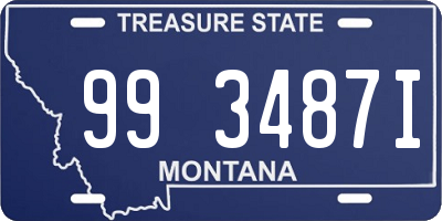 MT license plate 993487I