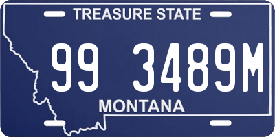 MT license plate 993489M