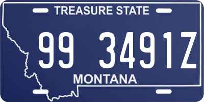 MT license plate 993491Z