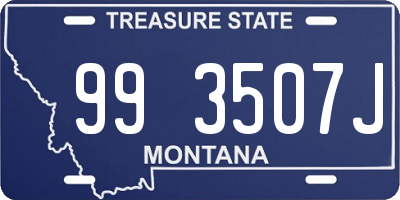 MT license plate 993507J