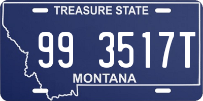 MT license plate 993517T