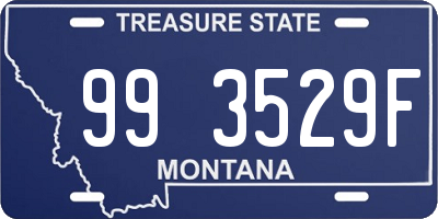 MT license plate 993529F