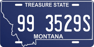 MT license plate 993529S