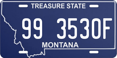 MT license plate 993530F