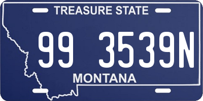 MT license plate 993539N