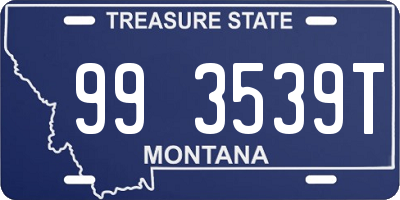 MT license plate 993539T