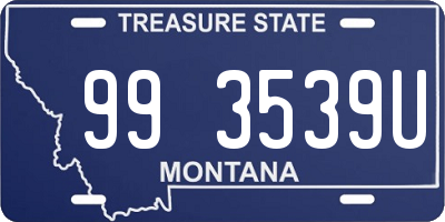 MT license plate 993539U