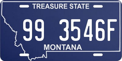 MT license plate 993546F