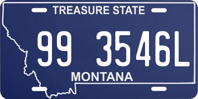 MT license plate 993546L