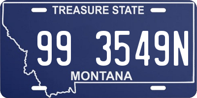 MT license plate 993549N