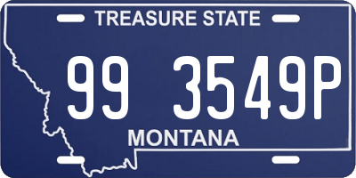 MT license plate 993549P