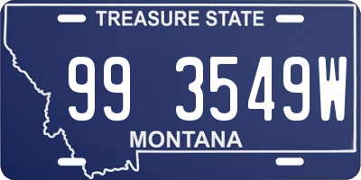 MT license plate 993549W