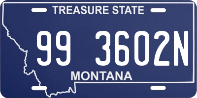 MT license plate 993602N