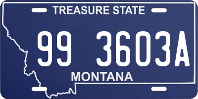 MT license plate 993603A