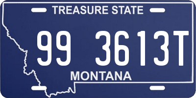 MT license plate 993613T