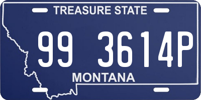 MT license plate 993614P