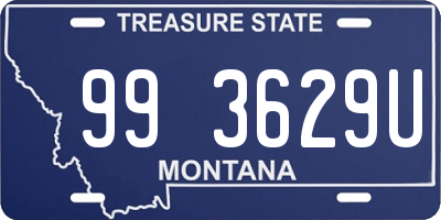 MT license plate 993629U