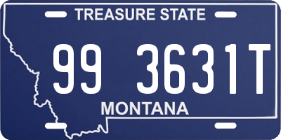 MT license plate 993631T