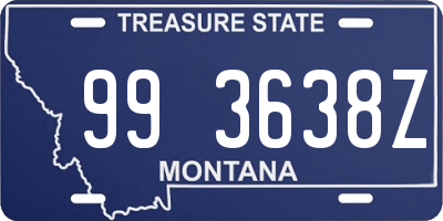 MT license plate 993638Z