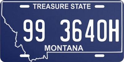 MT license plate 993640H