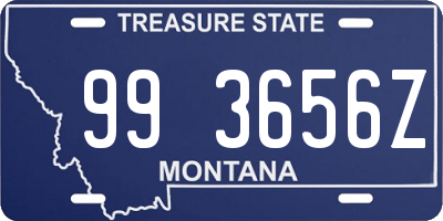 MT license plate 993656Z